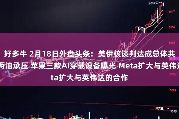 好多牛 2月18日外盘头条：美伊核谈判达成总体共识 美布两油承压 苹果三款AI穿戴设备曝光 Meta扩大与英伟达的合作