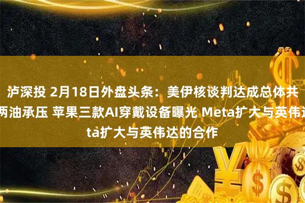 泸深投 2月18日外盘头条：美伊核谈判达成总体共识 美布两油承压 苹果三款AI穿戴设备曝光 Meta扩大与英伟达的合作