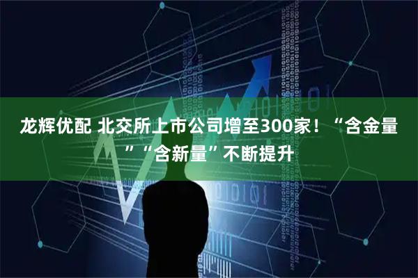 龙辉优配 北交所上市公司增至300家！“含金量”“含新量”不断提升