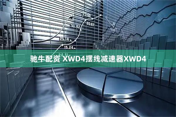 驰牛配资 XWD4摆线减速器XWD4