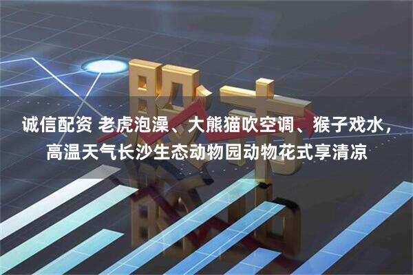 诚信配资 老虎泡澡、大熊猫吹空调、猴子戏水，高温天气长沙生态动物园动物花式享清凉