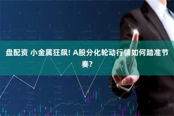 盘配资 小金属狂飙! A股分化轮动行情如何踏准节奏?