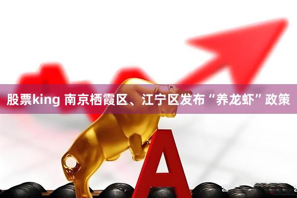 股票king 南京栖霞区、江宁区发布“养龙虾”政策