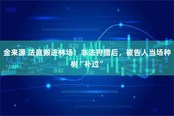 金来源 法庭搬进林场！非法狩猎后，被告人当场种树“补过”