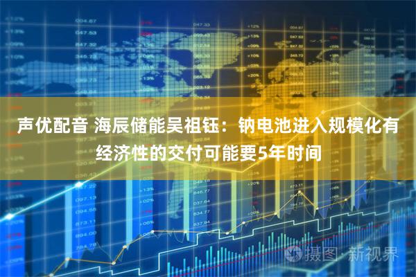声优配音 海辰储能吴祖钰：钠电池进入规模化有经济性的交付可能要5年时间