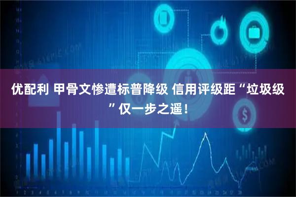 优配利 甲骨文惨遭标普降级 信用评级距“垃圾级”仅一步之遥！
