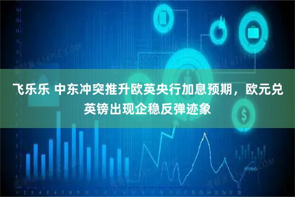 飞乐乐 中东冲突推升欧英央行加息预期，欧元兑英镑出现企稳反弹迹象